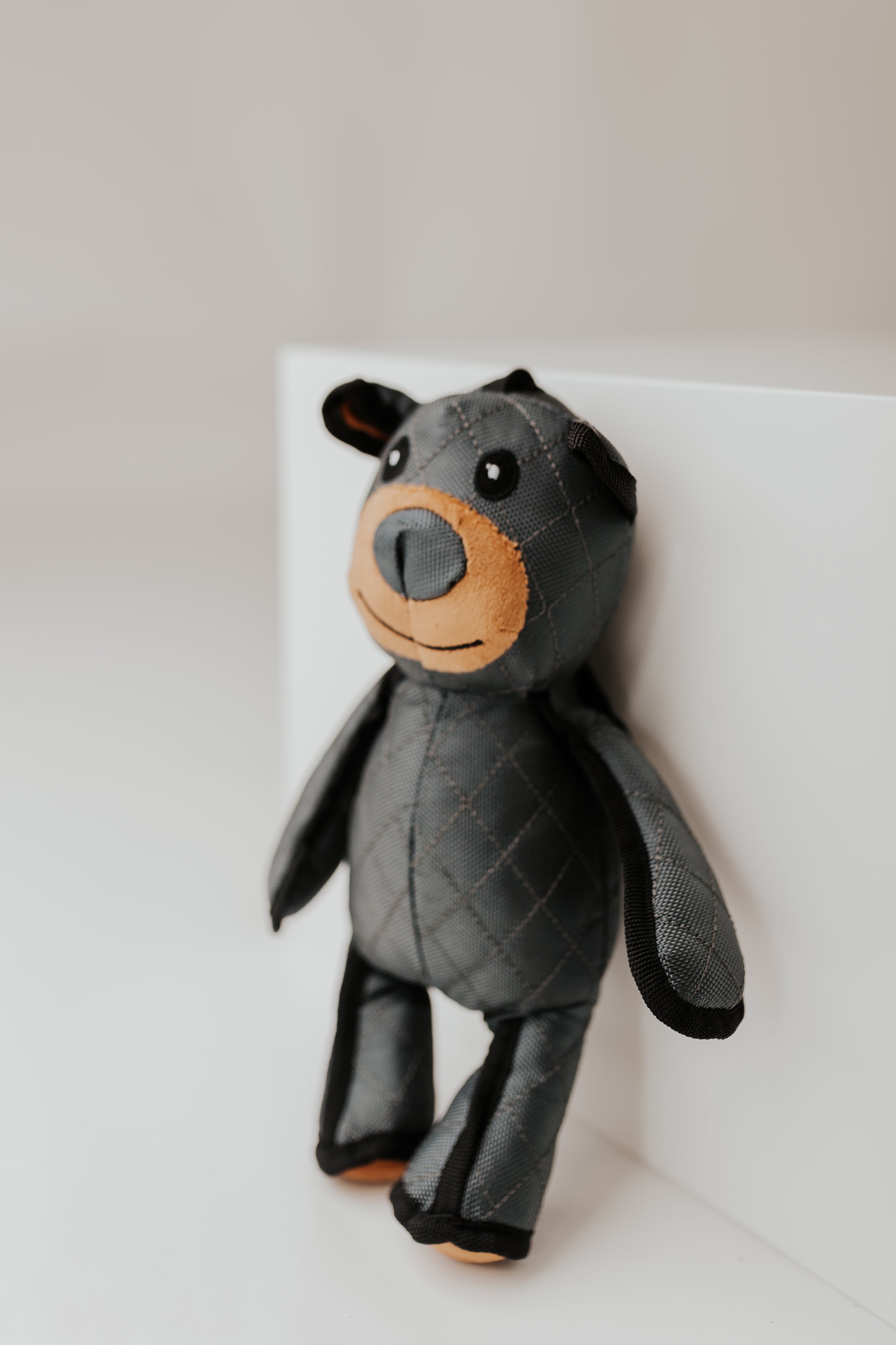 Teddybär
