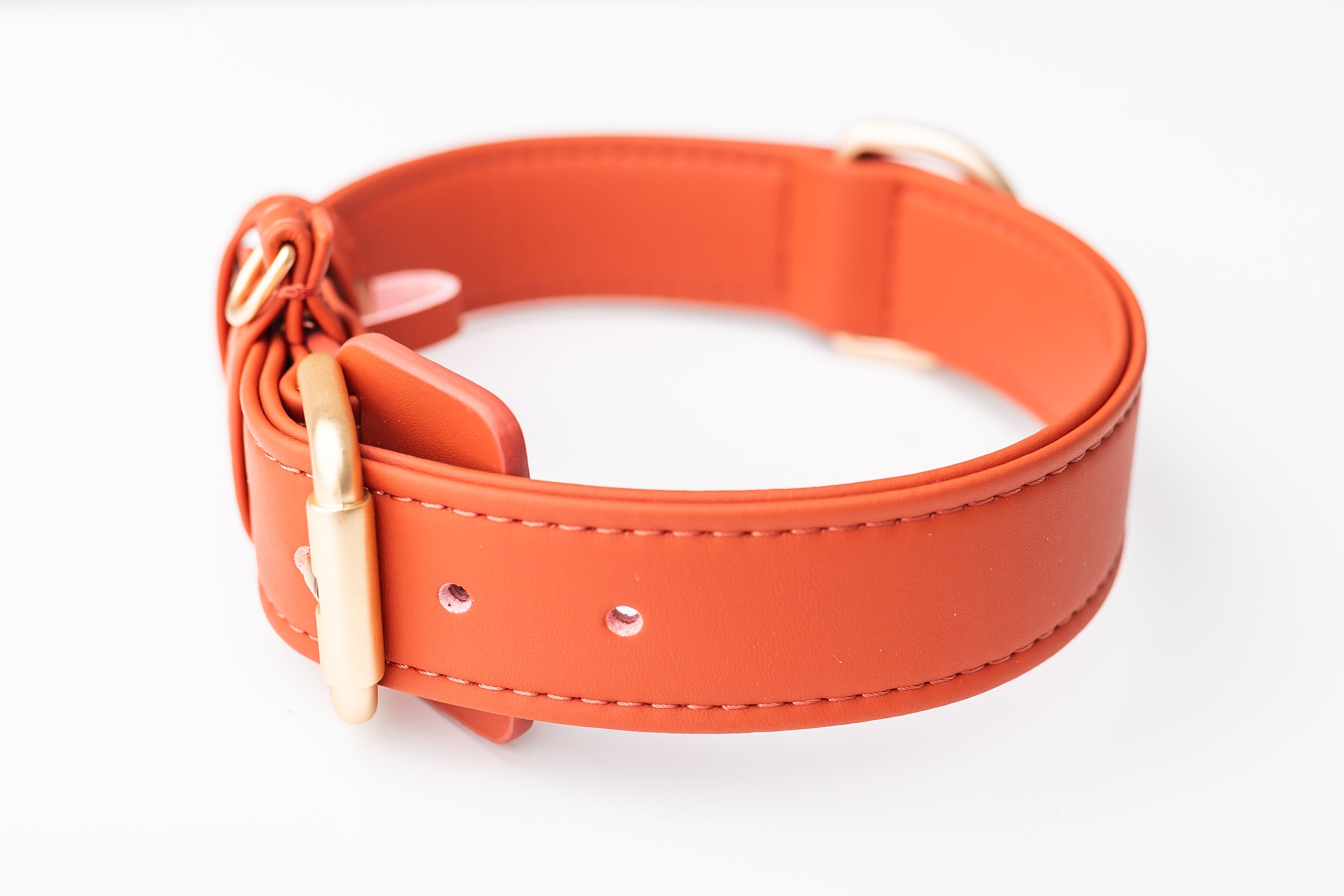 Hochwertiges Hundehalsband - vegan